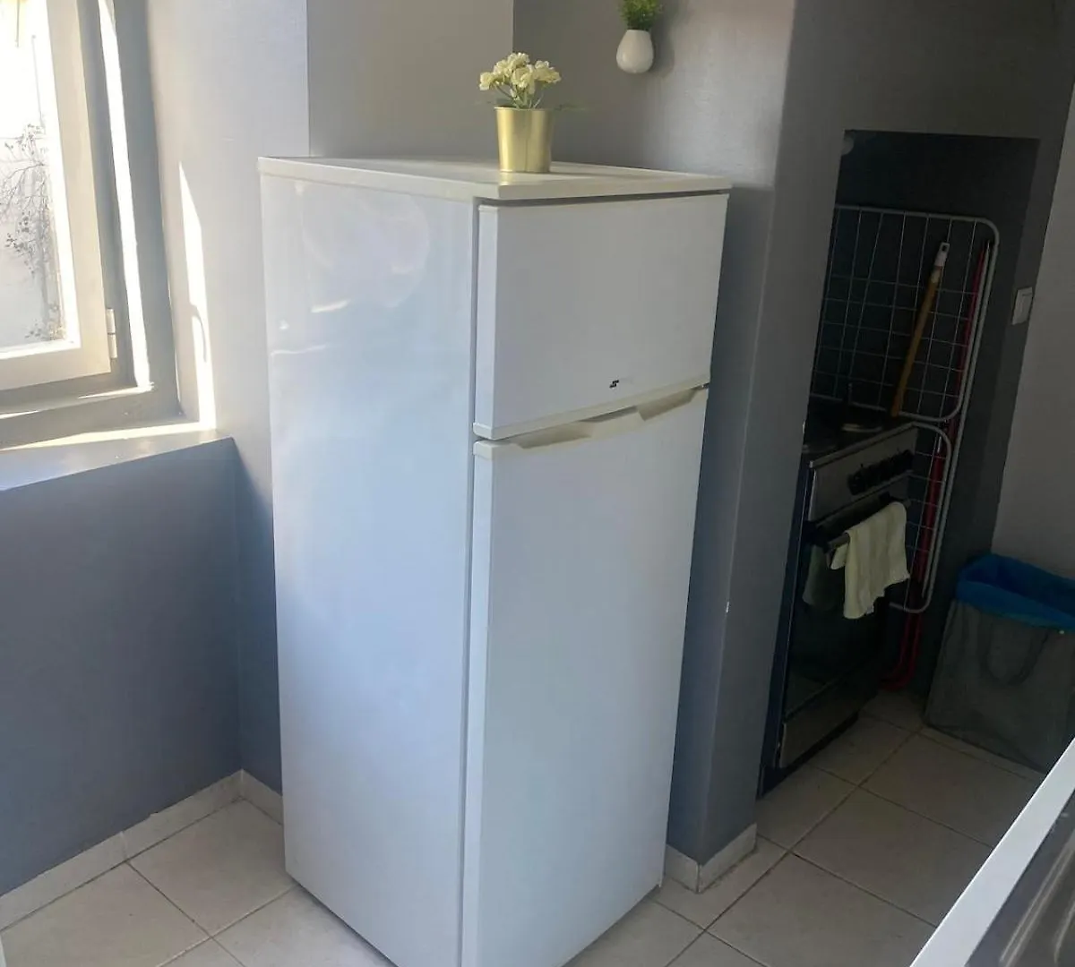Cozy Charming Flat In Flowers Garden! Apartment Lisbon